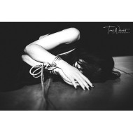 Shibari für Anfänger - Newaza/Floorwork (Hamburg)