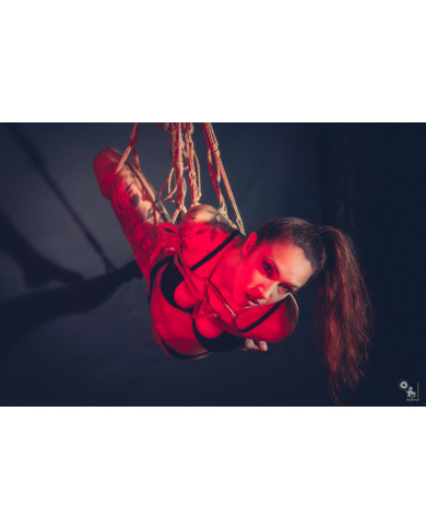 Dynamic Suspension – Kontrolle & Bewegung (Region Nürnberg)