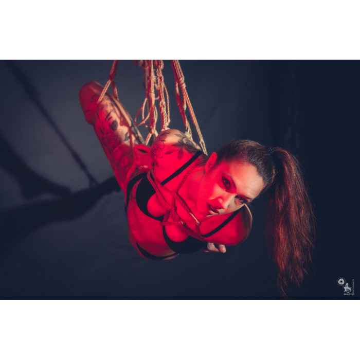 Dynamic Suspension – Kontrolle & Bewegung (Region Nürnberg)