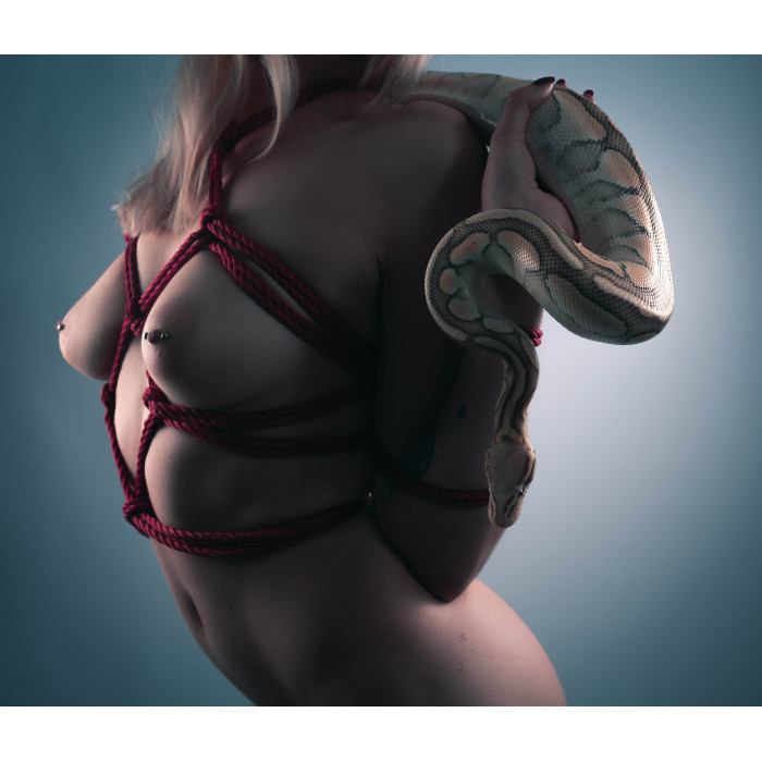 Alternativen zum TK (München)