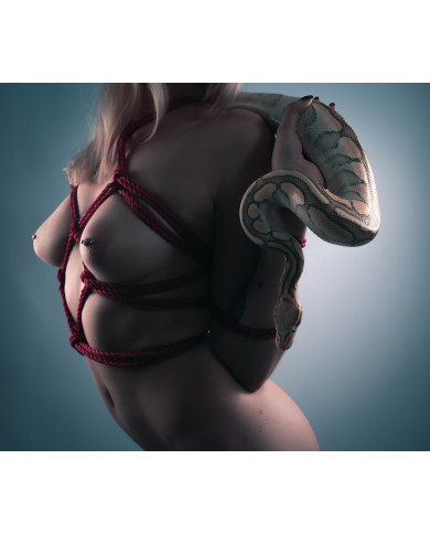 Alternativen zum Takate Kote (Hamburg)